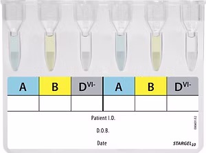 STARGEL10 Group Check (Patient)